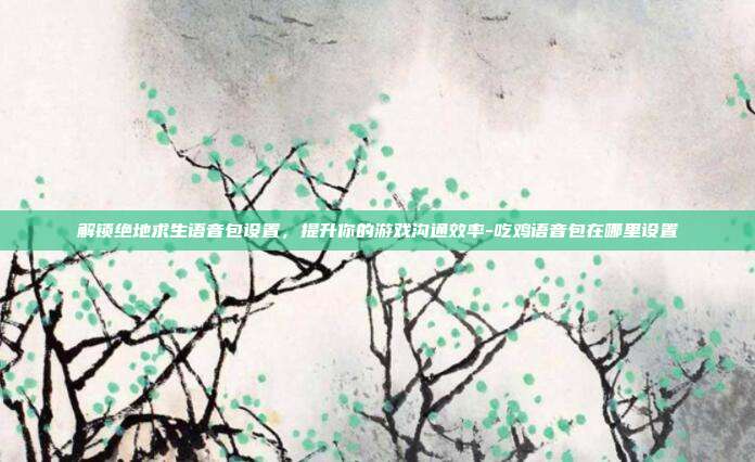 解锁绝地求生语音包设置,提升你的游戏沟通效率-吃鸡语音包在哪里设置