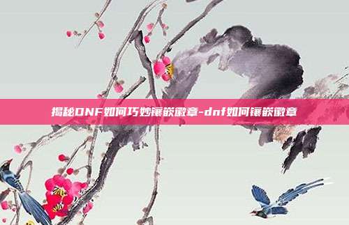 揭秘DNF如何巧妙镶嵌徽章-dnf如何镶嵌徽章