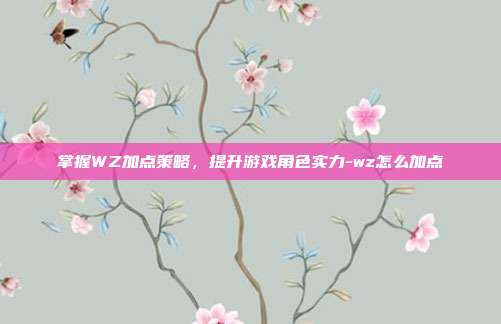 掌握WZ加点策略,提升游戏角色实力-wz怎么加点