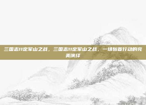 三国志11定军山之战,三国志11定军山之战,一场斩首行动的完美演绎
