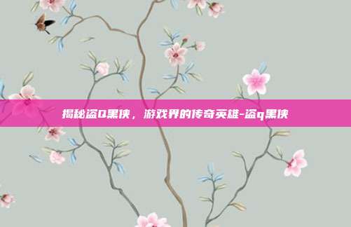 揭秘盗Q黑侠,游戏界的传奇英雄-盗q黑侠