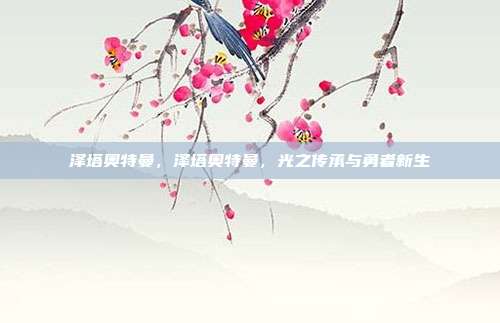 泽塔奥特曼,泽塔奥特曼,光之传承与勇者新生