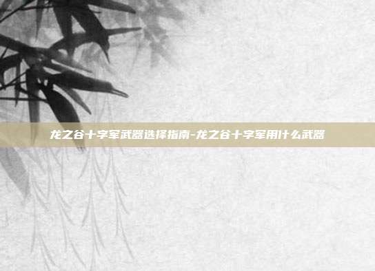 龙之谷十字军武器选择指南-龙之谷十字军用什么武器