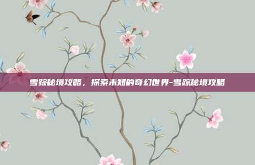 雪踪秘境攻略,探索未知的奇幻世界-雪踪秘境攻略