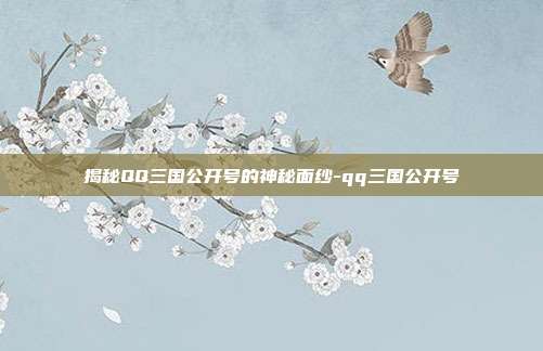 揭秘QQ三国公开号的神秘面纱-qq三国公开号