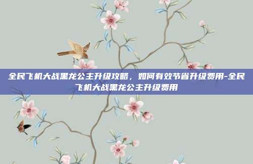 全民飞机大战黑龙公主升级攻略,如何有效节省升级费用-全民飞机大战黑龙公主升级费用
