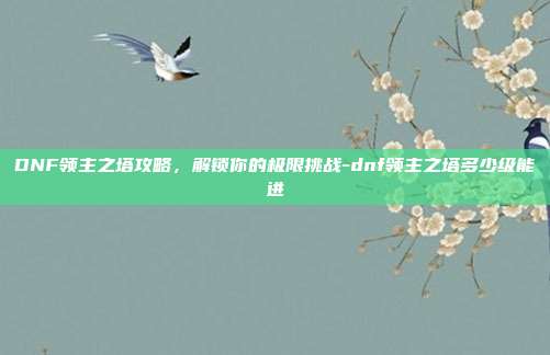 DNF领主之塔攻略,解锁你的极限挑战-dnf领主之塔多少级能进