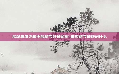 揭秘暴风之眼中的精气转换机制-暴风精气能转出什么