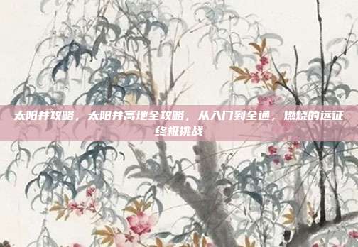 太阳井攻略,太阳井高地全攻略,从入门到全通,燃烧的远征终极挑战