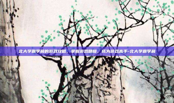 北大学霸李晨的游戏攻略,掌握游戏精髓,成为游戏高手-北大学霸李晨