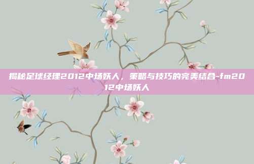 揭秘足球经理2012中场妖人,策略与技巧的完美结合-fm2012中场妖人