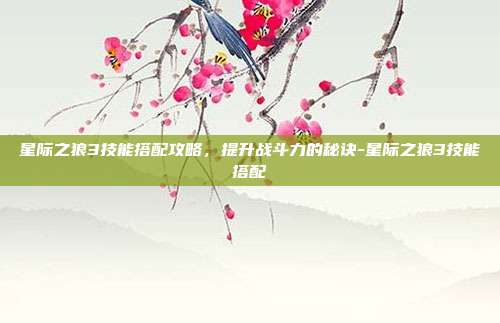 星际之狼3技能搭配攻略,提升战斗力的秘诀-星际之狼3技能搭配