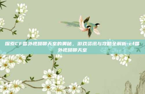 探索CF国外视频聊天室的奥秘,游戏资讯与攻略全解析-cf国外视频聊天室