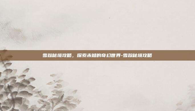 雪踪秘境攻略,探索未知的奇幻世界-雪踪秘境攻略