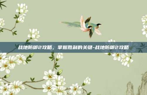 战地防御2攻略,掌握胜利的关键-战地防御2攻略