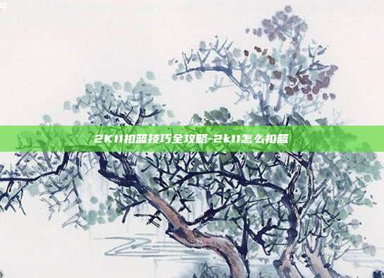 2K11扣篮技巧全攻略-2k11怎么扣篮