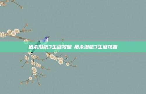 猎杀潜航3生涯攻略-猎杀潜航3生涯攻略