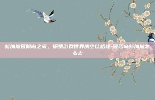 新加坡冒险岛之旅,探索游戏世界的绝佳路线-冒险岛新加坡怎么去
