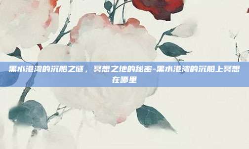 黑水港湾的沉船之谜,冥想之地的秘密-黑水港湾的沉船上冥想在哪里