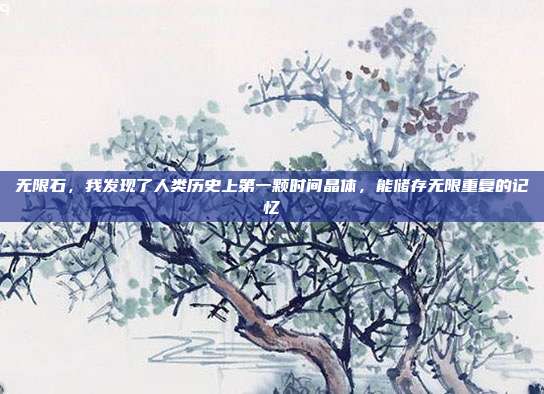 无限石,我发现了人类历史上第一颗时间晶体,能储存无限重复的记忆