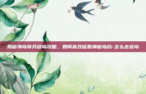 揭秘海岛奇兵寇岛攻略,如何高效征服神秘岛屿-怎么去寇岛