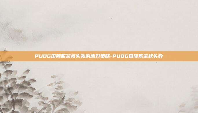 PUBG国际服鉴权失败的应对策略-PUBG国际服鉴权失败