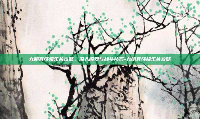 九阴真经极乐谷攻略,深入探索与战斗技巧-九阴真经极乐谷攻略