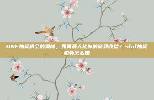 DNF抽奖机会的奥秘,如何最大化你的游戏收益?-dnf抽奖机会怎么用