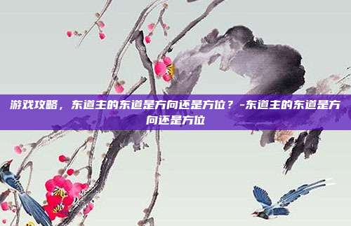 游戏攻略,东道主的东道是方向还是方位?-东道主的东道是方向还是方位