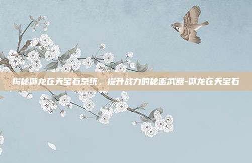 揭秘御龙在天宝石系统,提升战力的秘密武器-御龙在天宝石