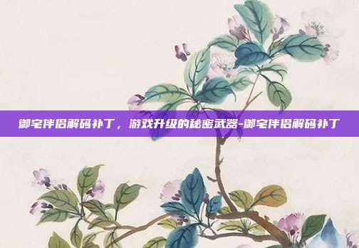 御宅伴侣解码补丁,游戏升级的秘密武器-御宅伴侣解码补丁