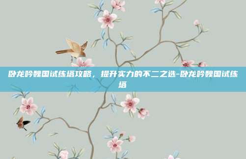 卧龙吟魏国试练塔攻略,提升实力的不二之选-卧龙吟魏国试练塔
