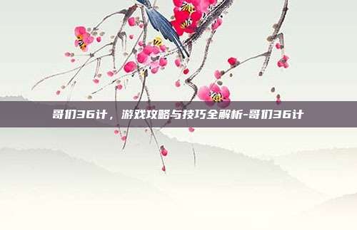 哥们36计,游戏攻略与技巧全解析-哥们36计