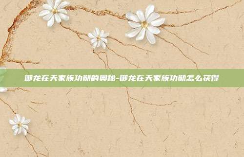御龙在天家族功勋的奥秘-御龙在天家族功勋怎么获得