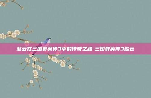 赵云在三国群英传3中的传奇之路-三国群英传3赵云