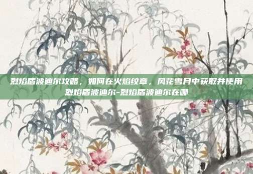 烈焰盾波迪尔攻略,如何在火焰纹章,风花雪月中获取并使用烈焰盾波迪尔-烈焰盾波迪尔在哪
