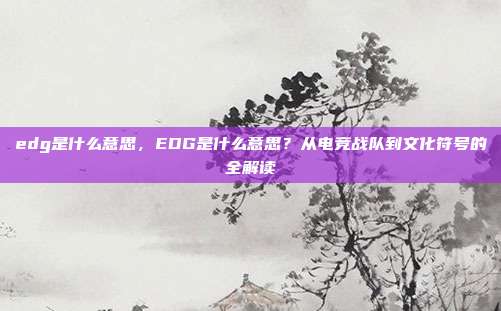 edg是什么意思,EDG是什么意思?从电竞战队到文化符号的全解读