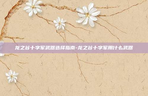 龙之谷十字军武器选择指南-龙之谷十字军用什么武器