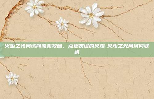火炬之光局域网联机攻略,点燃友谊的火焰-火炬之光局域网联机