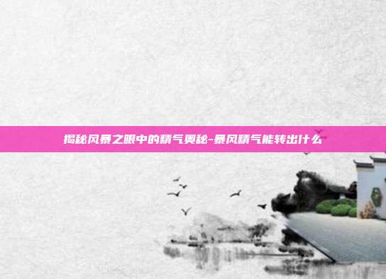 揭秘风暴之眼中的精气奥秘-暴风精气能转出什么
