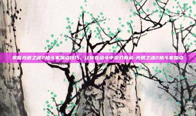 掌握光明之魂2格斗家加点技巧,让你在战斗中游刃有余-光明之魂2格斗家加点