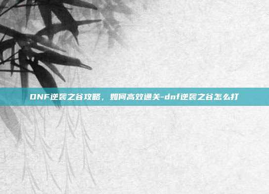 DNF逆袭之谷攻略,如何高效通关-dnf逆袭之谷怎么打