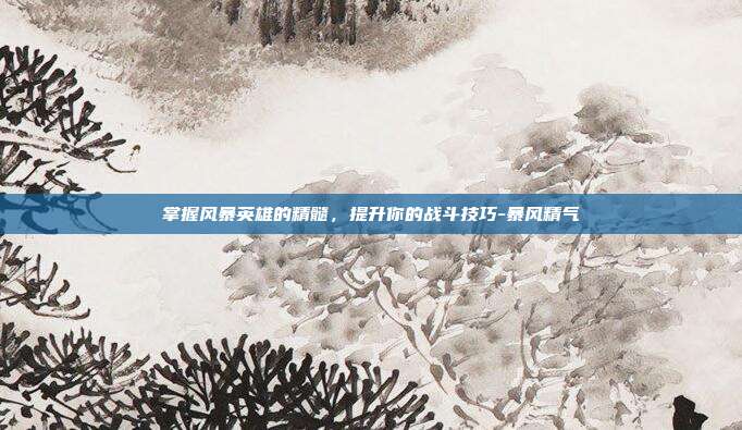 掌握风暴英雄的精髓,提升你的战斗技巧-暴风精气