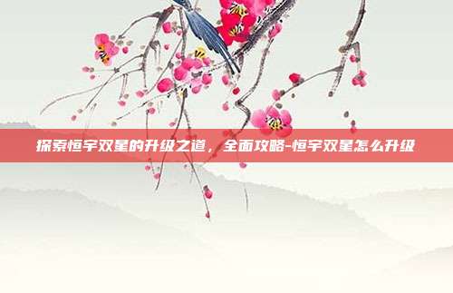 探索恒宇双星的升级之道,全面攻略-恒宇双星怎么升级