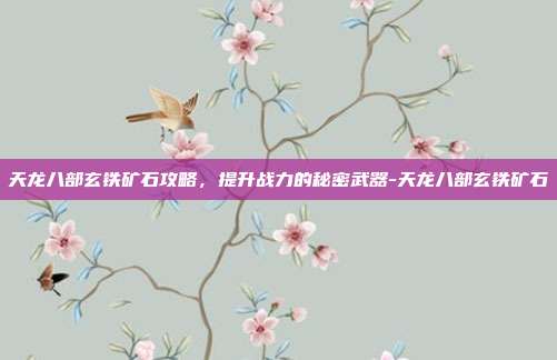 天龙八部玄铁矿石攻略,提升战力的秘密武器-天龙八部玄铁矿石