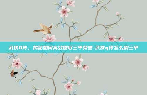 武侠Q传,揭秘如何高效刷取三甲荣誉-武侠q传怎么刷三甲