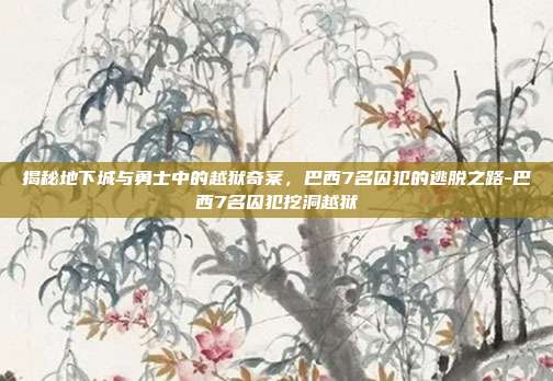 揭秘地下城与勇士中的越狱奇案,巴西7名囚犯的逃脱之路-巴西7名囚犯挖洞越狱