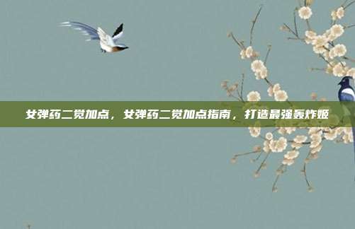女弹药二觉加点,女弹药二觉加点指南,打造最强轰炸姬