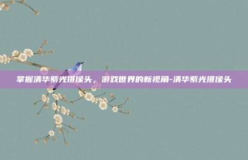 掌握清华紫光摄像头,游戏世界的新视角-清华紫光摄像头
