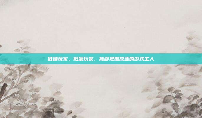 低端玩家,低端玩家,被鄙视链放逐的游戏主人